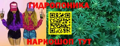 PSILOCYBIN Кунгур