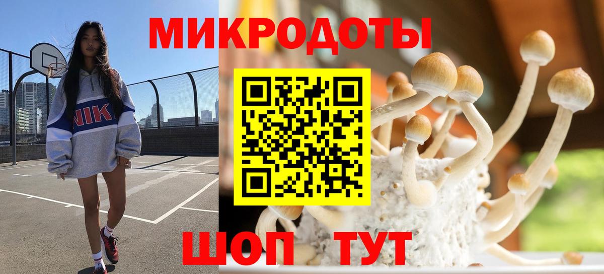 Тверь  Псилоцибиновые грибы Psilocybe  Вход с VPN  Псилоцибиновые грибы ЛСД 