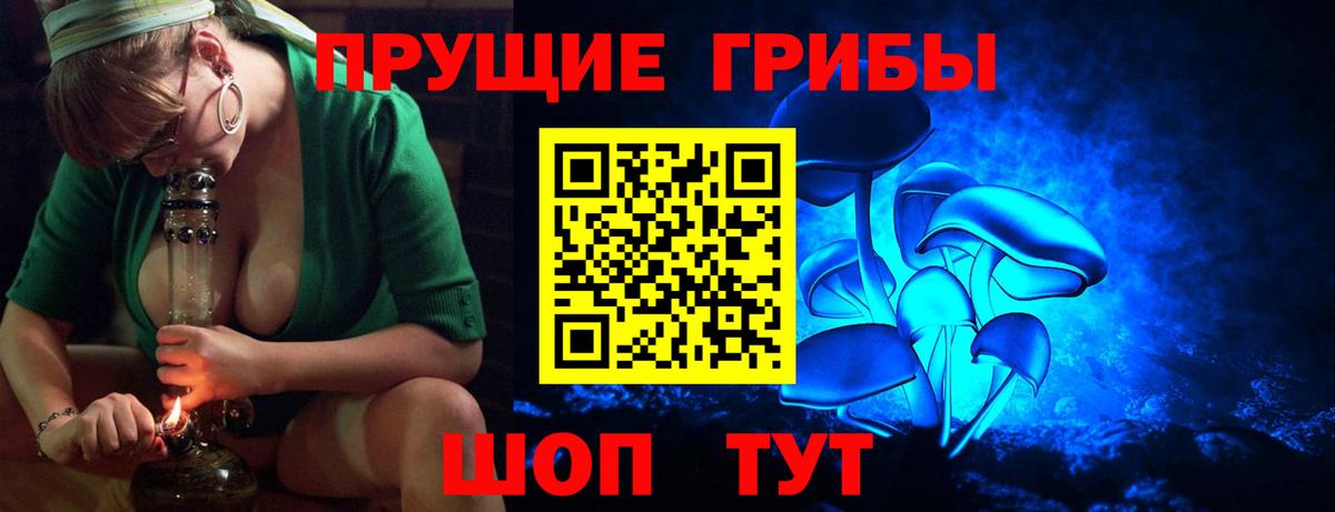 Псилоцибиновые грибы GOLDEN TEACHER Тверь